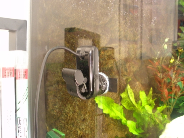 P3110041